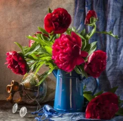 Pivoines Roses