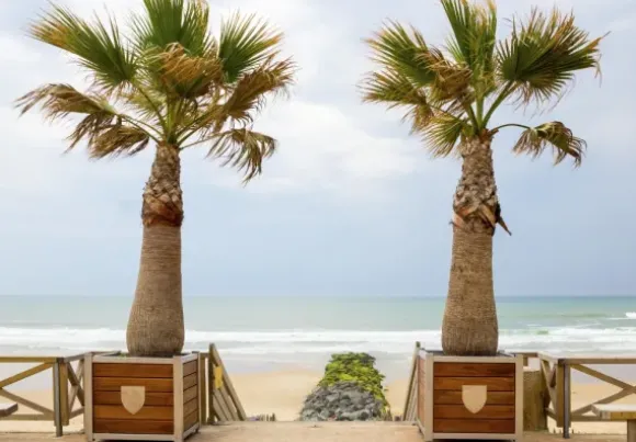 Plage de Lacanau, France