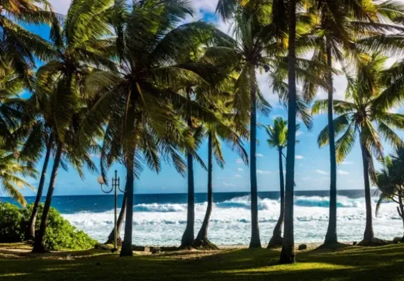 Plage et Palmiers, La Réunion, France