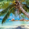 Plage Tropicale