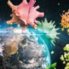 Planète Terre 2020