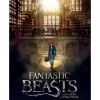 Poster Puzzle - Fantastic Beasts - Macusa