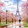 Promenade Romantique à Paris