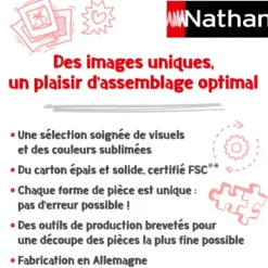 Protecteurs du Château (Collection Fantastique)