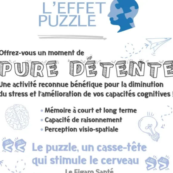 Protecteurs du Château (Collection Fantastique)