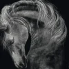 Puissant – Le Cheval : Sous le Signe de la Force