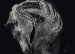 Puissant – Le Cheval : Sous le Signe de la Force