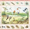 Puzzle Cadre - Animaux du Lac (en Italien)