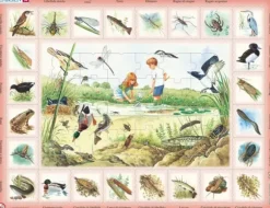 Puzzle Cadre - Animaux du Lac (en Italien)
