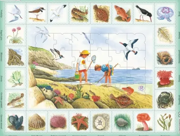 Puzzle Cadre - Bord de mer (en Hollandais)