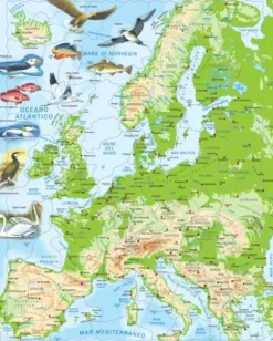 Puzzle Cadre - Carte Topographique de l'Europe (Italien)