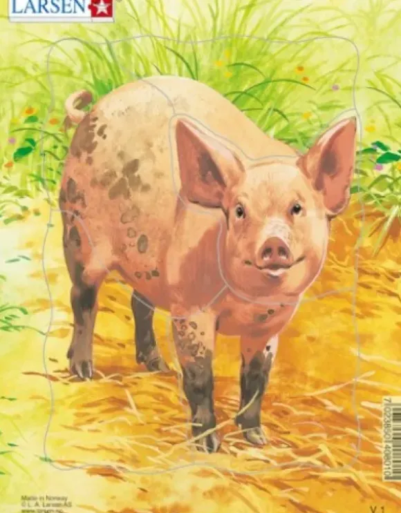 Puzzle Cadre - Cochon