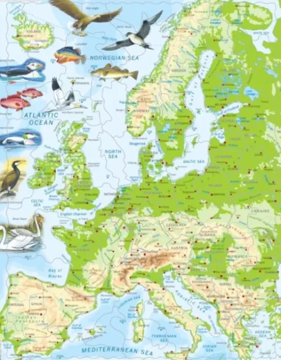 Puzzle Cadre - Europe (en Anglais)