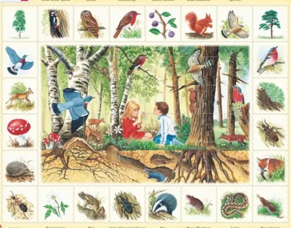 Puzzle Cadre - La Forêt (en Hollandais)
