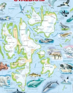 Puzzle Cadre - Norvège : Le Svalbard et ses Animaux (Noms des animaux en Norvégien)