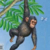 Puzzle Cadre - Petit Singe