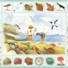Puzzle Cadre - Puzzle Nature - Bord de Mer (Espagnol)
