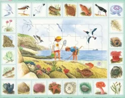 Puzzle Cadre - Puzzle Nature - Bord de Mer (Espagnol)