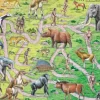 Puzzle Cadre - The Road From Ape to Human (en Anglais)