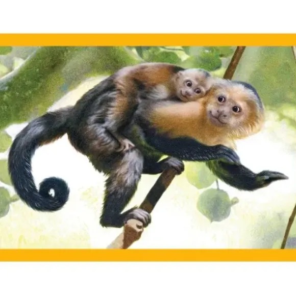 Puzzle 4 En 1 - Maman Bébé Animaux