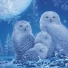 Puzzle Glow in the Dark - Chouettes au Clair de Lune