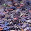 Puzzle Mystère sans Boite & sans Image - Sachet de 1000 Pièces
