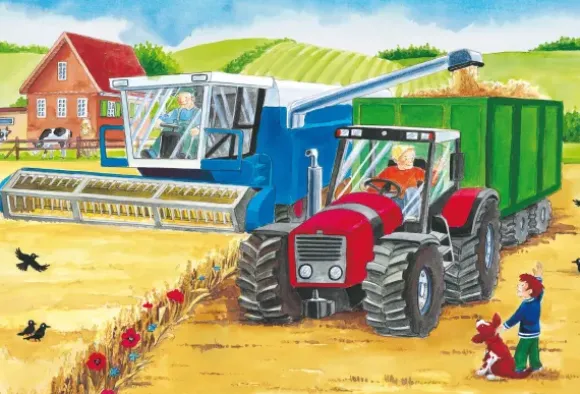3 Puzzles - A La Ferme