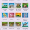 2 Puzzles Cadres - Apprendre l'Anglais : Read and Look 29-30 (en Anglais)