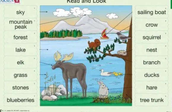 2 Puzzles Cadres - Apprendre l'Anglais : Read and Look 05-06 (en Anglais)