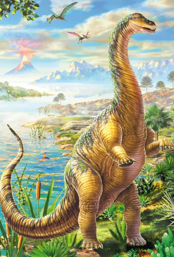 3 Puzzles - Dinosaures