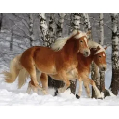 Puzzle Spécial / Difficile : Cheval Haflinger n°3