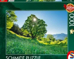 Érable Sycomore au Soleil - Saint-Gall, Suisse