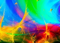 Rainbow Fractals
