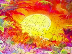Rainbow Tropic