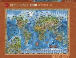Rajko Zigic - Amazing World