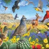 R. Christopher Vest - Texas Birds