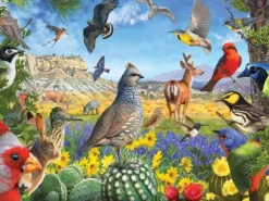 R. Christopher Vest - Texas Birds