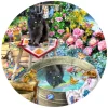 Reflets de Chaton