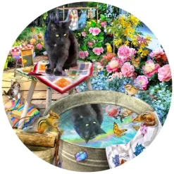 Reflets de Chaton