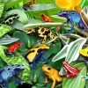 Robinson Howard - Fun Frogs