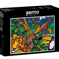 Romero Britto - Romero Britto - Amazon