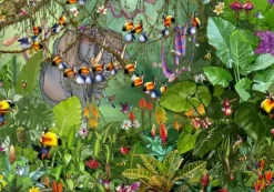 Ruyer François - François Ruyer - La Jungle 2