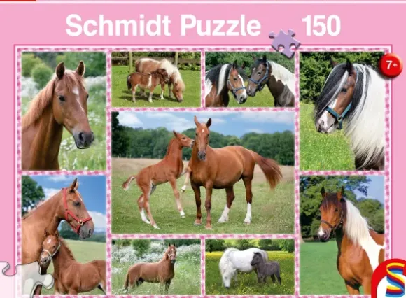 Rêves de Cheval