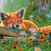 Rêves de Renard