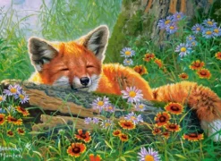 Rêves de Renard