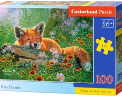 Rêves de Renard