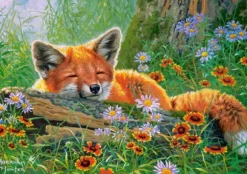 Rêves de Renard