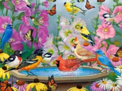 Rythme de la Nature