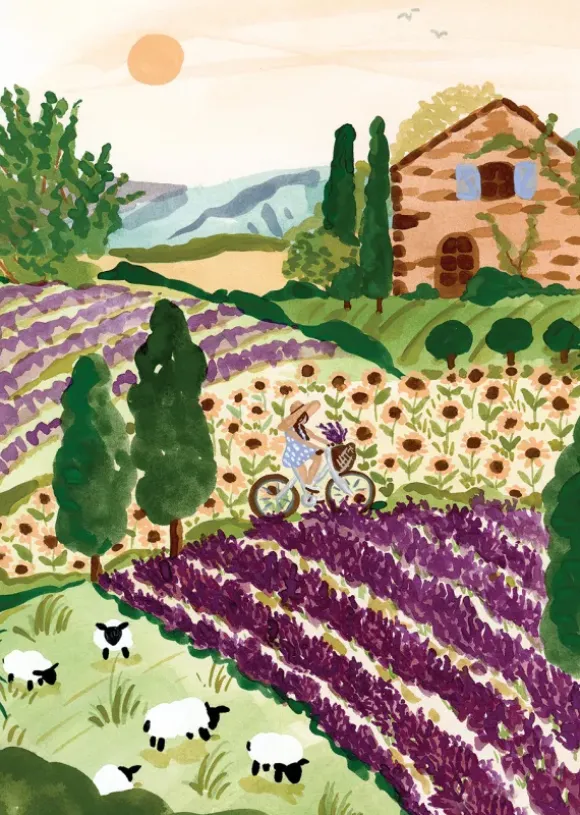 Sabina Fenn - Provence