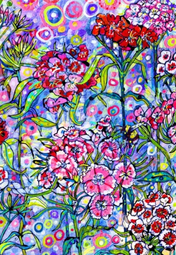 Sally Rich - Sweet William